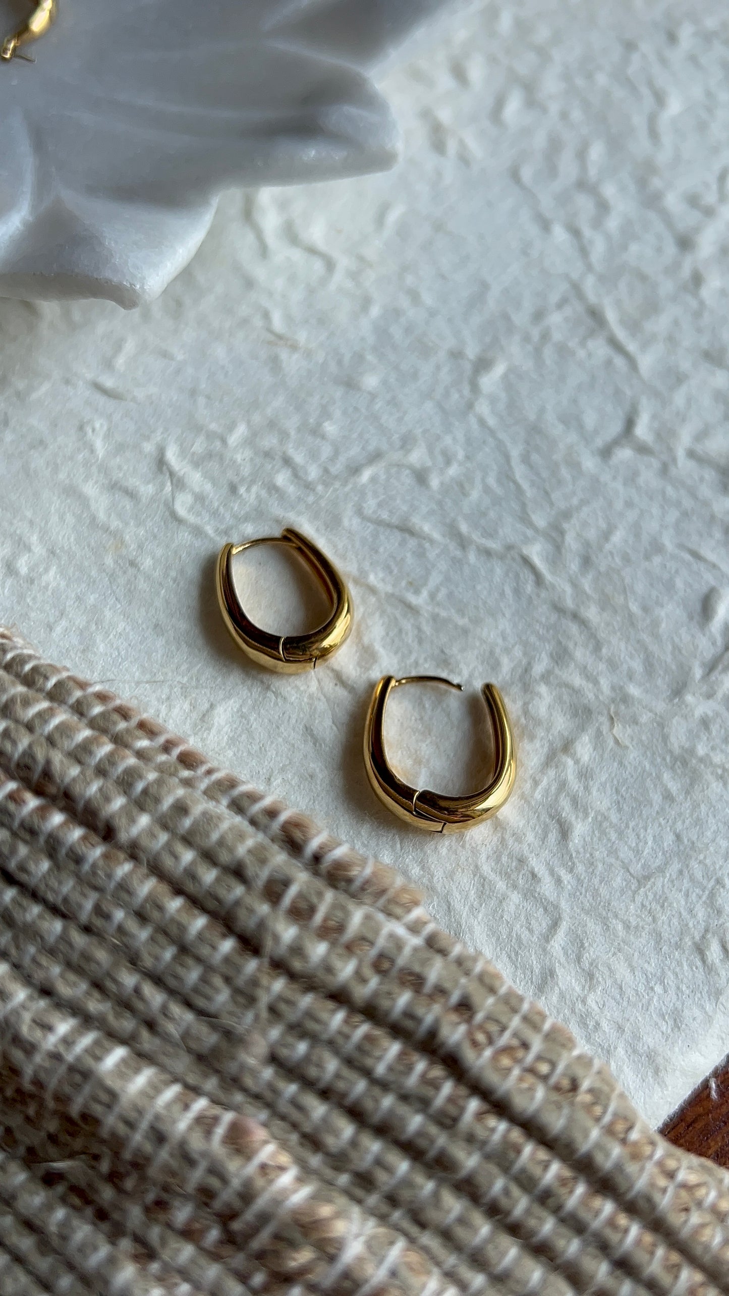 Pippa hoops