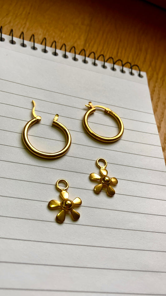 Nargis charms