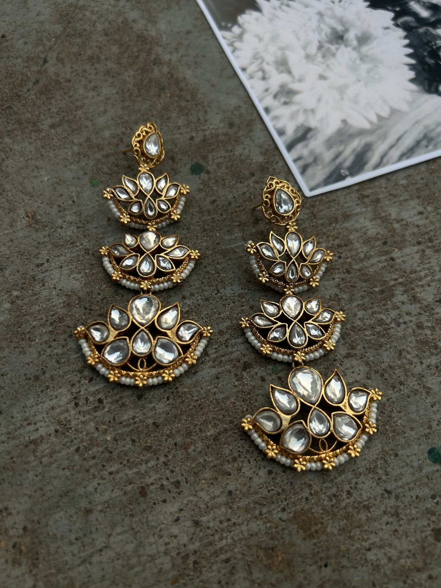 Roshni Danglers