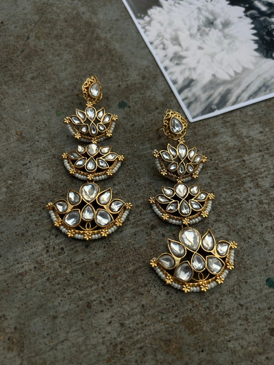 Roshni Danglers